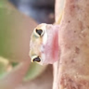 Meet your Posher, Jesse